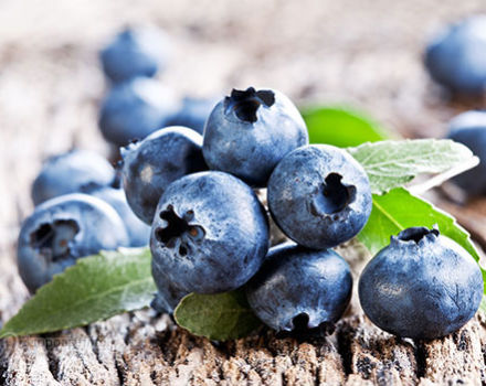 Vad kan göras av blåbär för vintern, hur man fryser och lagrar recept