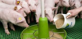 Vad är foderblandningen för smågrisar och grisar gjorda av, typer och de bästa producenterna