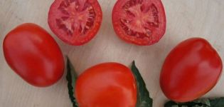 Beskrivelse af Indio-tomatsorten og dens egenskaber