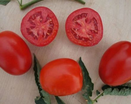 Description de la variété de tomate Indio et de ses caractéristiques