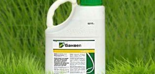 Banvelio herbicido naudojimo instrukcijos ir veikimo principas, suvartojimo normos