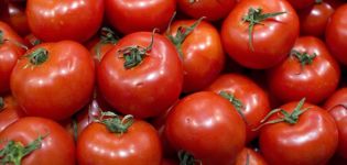 Đặc điểm và mô tả về giống cà chua Torbay, năng suất của nó