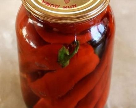 TOP 10 Rezepte für die Zubereitung von Paprika-Gewürzen für den Winter