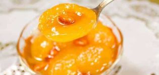Recept för att göra aprikos sylt med mandlar för vintern