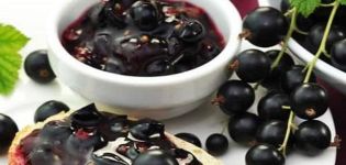 TOP 7 recipes for blackcurrant five-minute jam for the winter