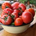 Hur man väljer den bästa tomatsorten för betning och konservering