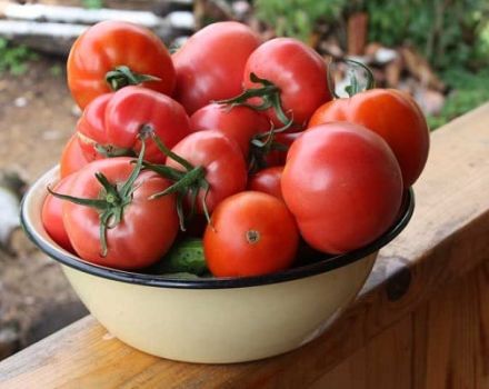 Kaip pasirinkti geriausią pomidorų veislę marinavimui ir konservavimui