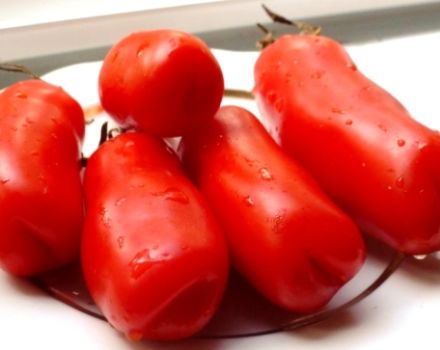 Características y descripción de la variedad de tomate Auria (Manhood), su rendimiento
