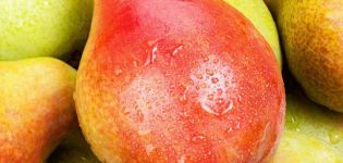 Beskrivning och egenskaper hos Bere-päronvarianter, plantering och vårdteknologi