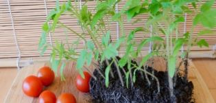 Egenskaber og beskrivelse af tomatsorten Eupator, dens udbytte