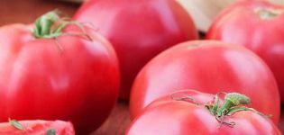 Descripción de la variedad de tomate Bermellón, sus características y rendimiento