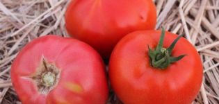 Rozā titāna tomātu šķirnes un tās īpašību apraksts