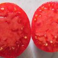 Egenskaper och beskrivning av Babushkino-tomatsorten, dess utbyte