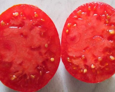 Características y descripción de la variedad de tomate Babushkino, su rendimiento.
