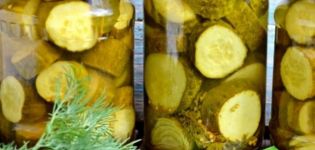 TOP 15 recipes for pickling large cucumbers with crispy pieces for the winter