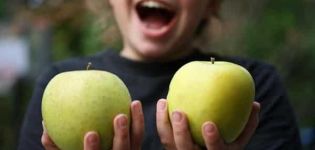 Mutsu obuolių aprašymas ir savybės, sodinimas, auginimas ir priežiūra