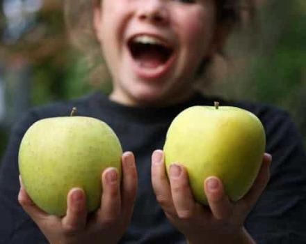Beskrivelse og egenskaber ved Mutsu-æbler, plantning, dyrkning og pleje