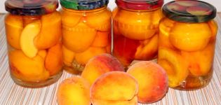 TOP 4 receptai, kaip lengva žiemą marinuoti persikus sirupe