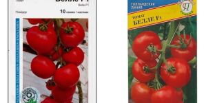 Descripción de la variedad de tomate Bella f1, sus características y cultivo
