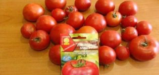 Pomidorų veislės Laskovy Misha aprašymas ir jos savybės
