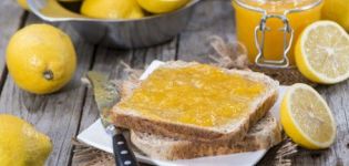 TOP 16 eenvoudige en heerlijke recepten voor het maken van citroenjam voor de winter