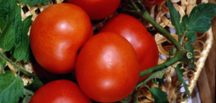 Egenskaper och beskrivning av tomatsorten Lakomka