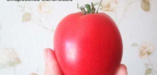 Pomidorų veislės aviečių Ozharovsky aprašymas, derlius ir priežiūra