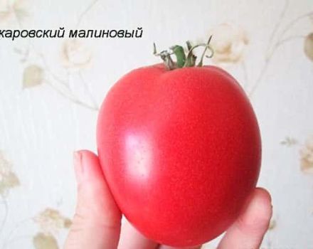 Beskrivning av tomatsorten Raspberry Ozharovsky, utbyte och vård