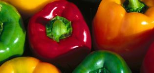 Välja sorter av paprika: körsbär, bulgariska, dominator och andra