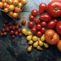 Najlepšie odrody paradajkových semien na otvorenom priestranstve v Rostovskej oblasti