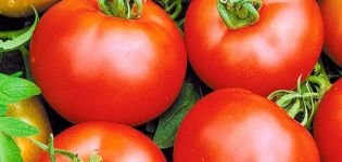 Descripción de la variedad de tomate Voskhod, sus características y cultivo.