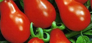Kenmerken en beschrijving van de Matryoshka-tomatenvariëteit, de opbrengst