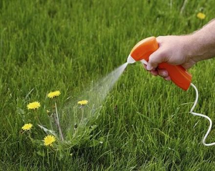Herbicido naudojimo instrukcijos Puikiai kovoja su piktžolėmis lovose
