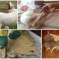 Cómo hacer una piel de cabra correctamente en casa, instrucciones paso a paso