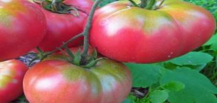 Beskrivning av tomatsorten Potatis hallon och dess egenskaper