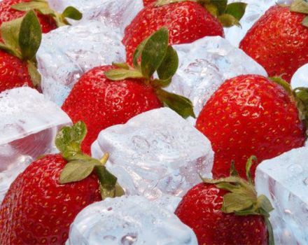 Wie man Erdbeeren für den Winter zu Hause richtig einfriert