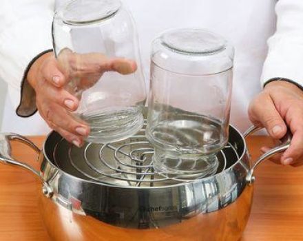 Wie lange dauert es, Gläser zu Hause zu sterilisieren?