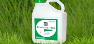 Instruktioner för användning av fungiciden Kolosal, konsumtionshastigheter och analoger