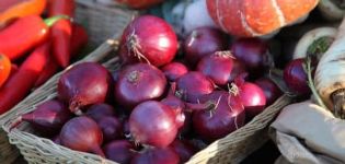 Descrizione della varietà di cipolla Carmen, caratteristiche di coltivazione e cura