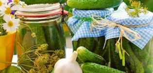 Simple recipes for pickled vigorous cucumbers for the winter in jars