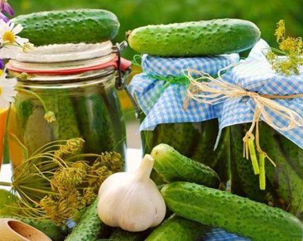 Simple recipes for pickled vigorous cucumbers for the winter in jars