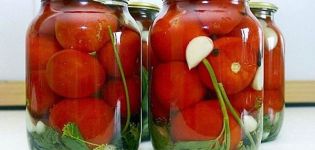 10 receptů na výrobu nakládaných a horkých rajčat na zimu
