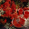 TOP 16 απλές συνταγές για μαρμελάδα κόκκινης σορβιάς για το χειμώνα στο σπίτι