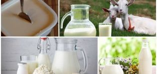 Recept för att göra getmjölk grädde hemma