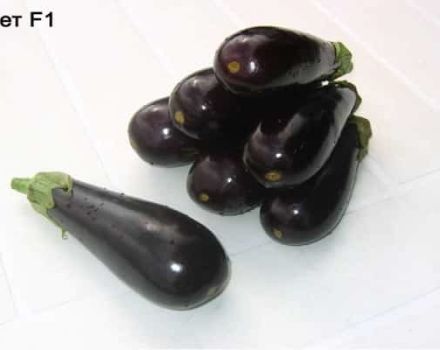 Beschrijving en kenmerken van aubergine Anet F1, groei en verzorging
