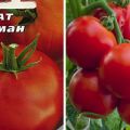 Beskrivning av tomatsorten Ataman och dess egenskaper