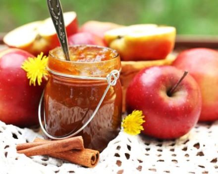 Top 6 recipes for making apple and cinnamon jam for the winter and storage