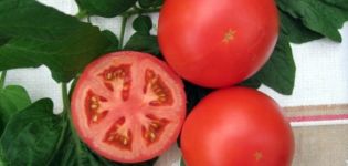 Kenmerken en beschrijving van de tomatenvariëteit Anyuta, de opbrengst
