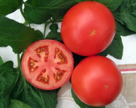 Pomidorų veislės Anyuta charakteristikos ir aprašymas, derlius