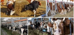 Áreas de distribución de ganado en establos y pastoreo, especialmente